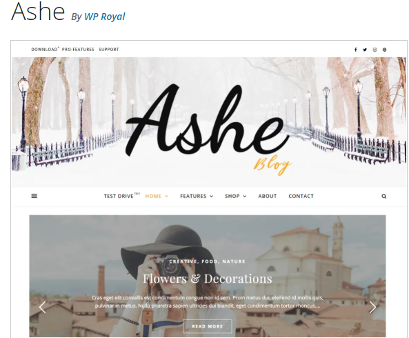 ashe feminine WordPress Blog Theme