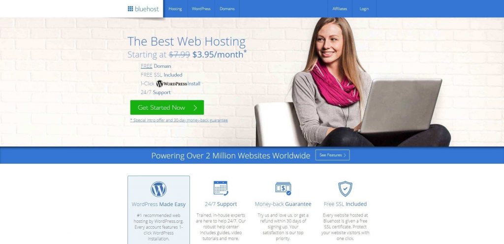 Bluehost best hosting for WordPress Website