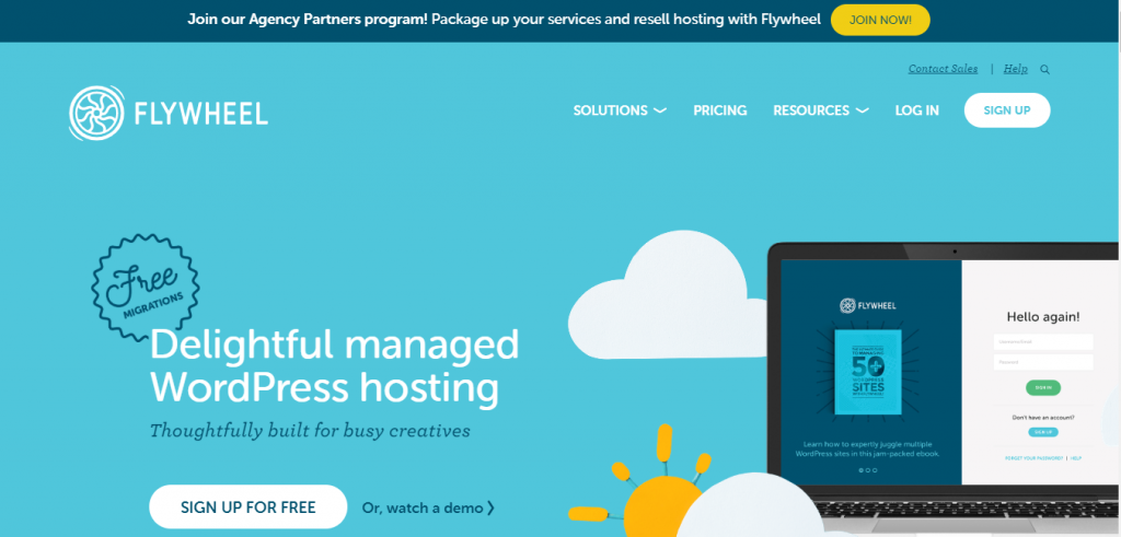 flywheel  best hosting for WordPress Website