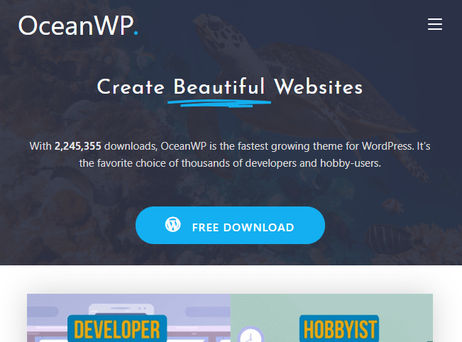 ocean best free themes in WordPress