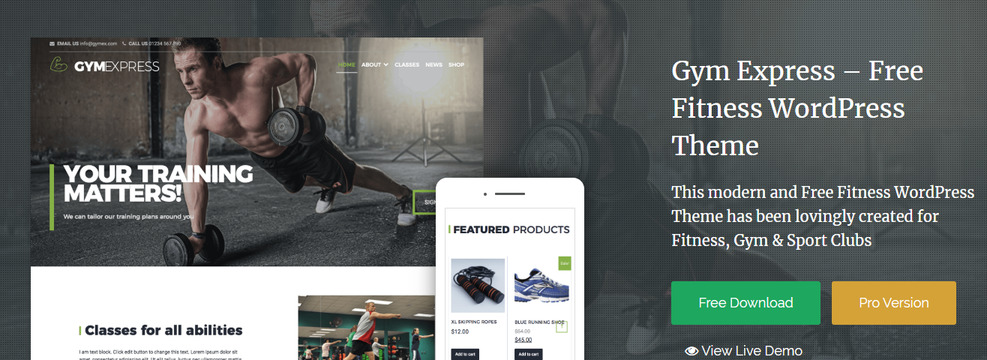 gym express best WordPress Sports Themes