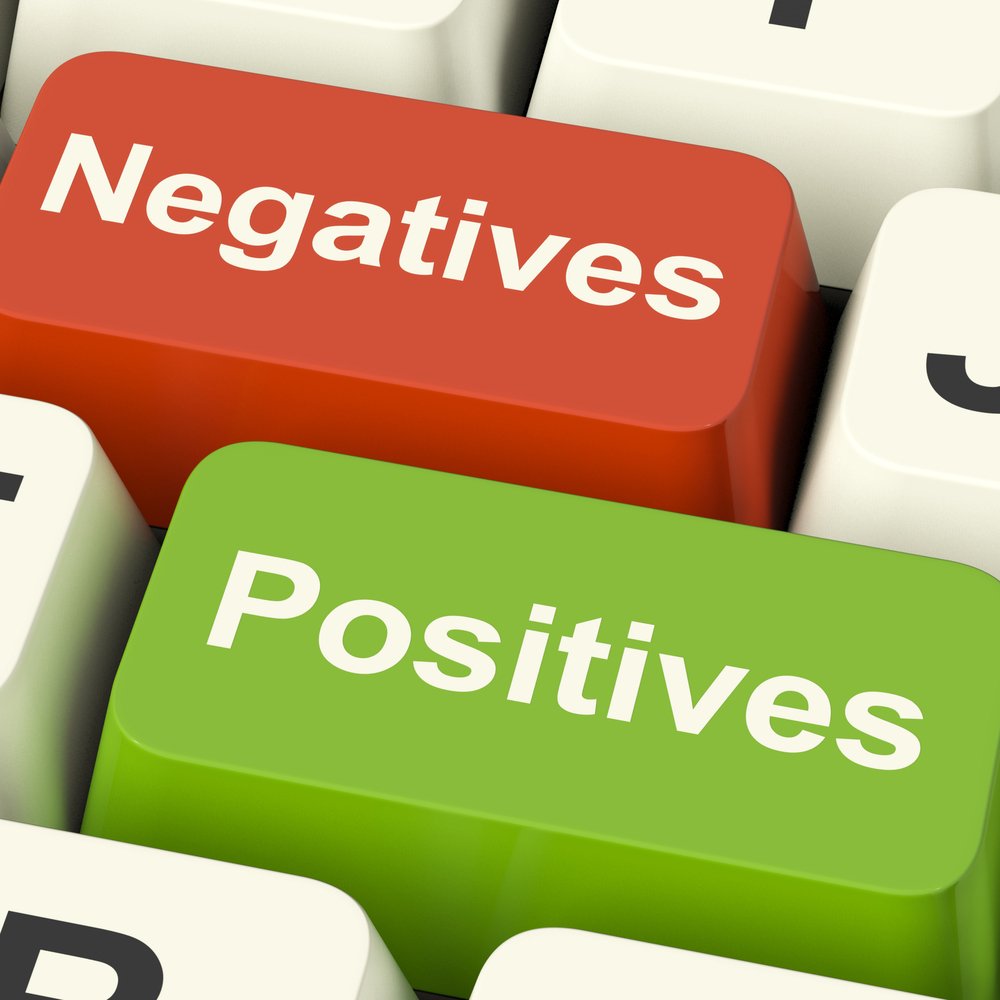 positives and negatives to choose a WordPress theme